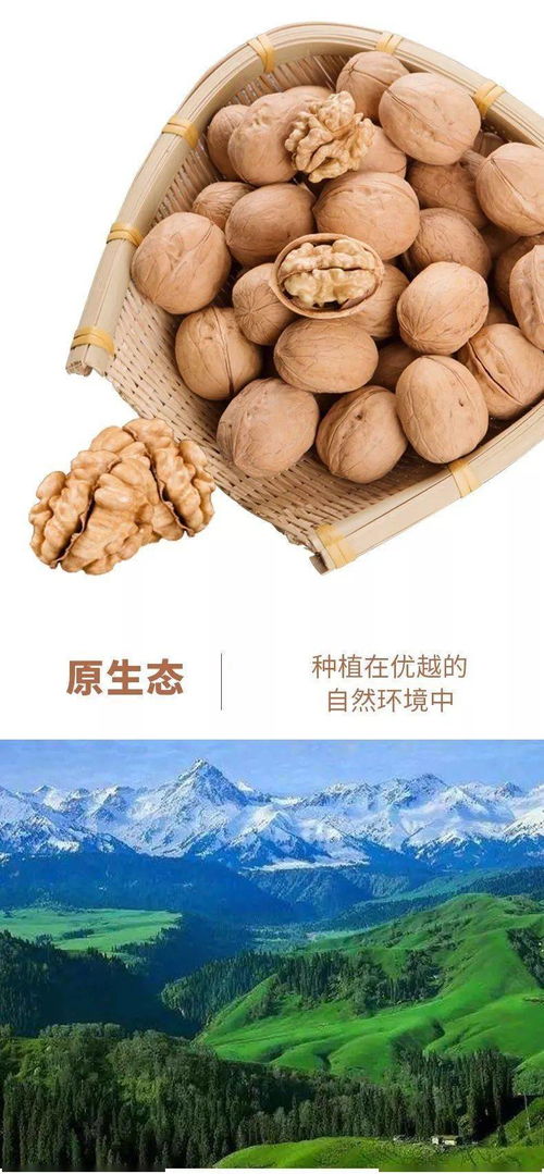 原味新疆，從指尖到舌尖的自然饋贈——記嗨途戶外源頭直供正宗溫宿185核桃